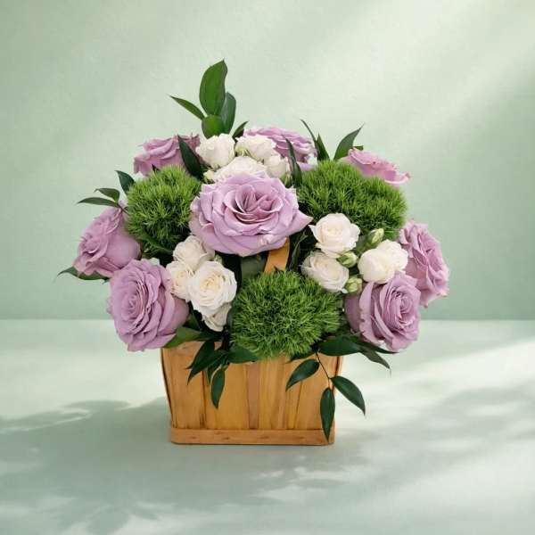 Lavender Harmony