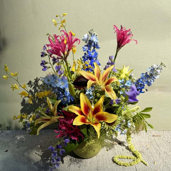 Tropicana (Designer’s Choice)