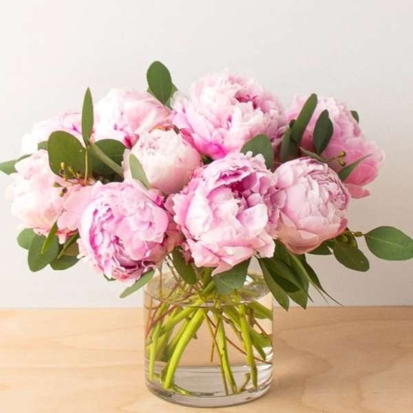 Pink peonies in a clear glass vase with green foliage