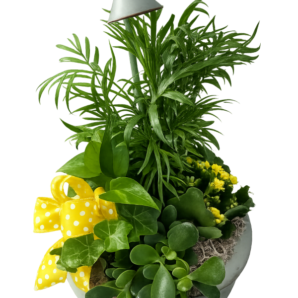 Spring Showers Dish Garden
