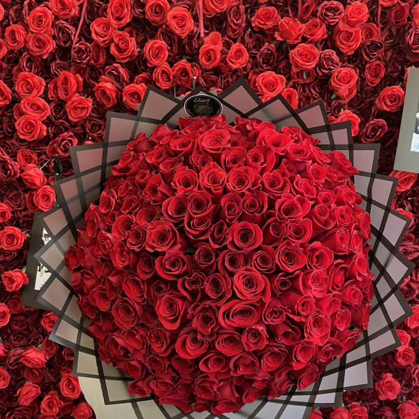 Large bouquet of red roses wrapped in black-edged paper