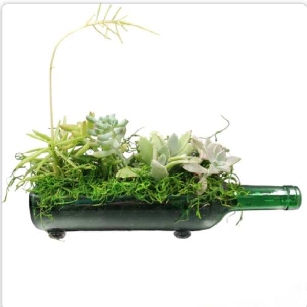 Succulent arrangement in a green wine bottle planter
