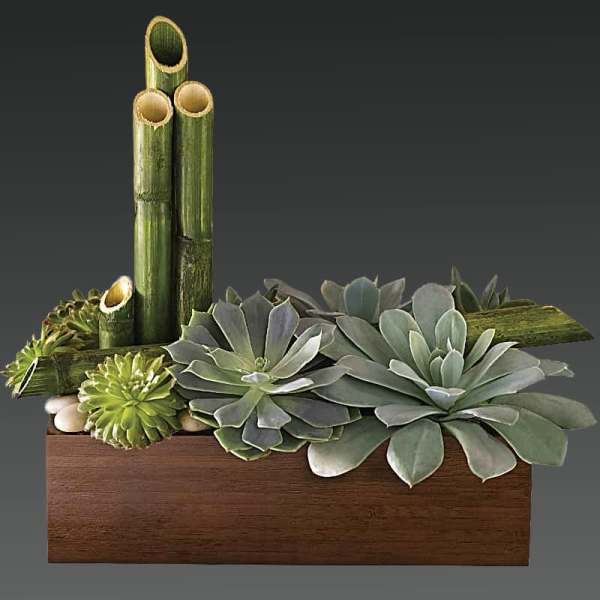 Succulent arrangement in a wooden box with bamboo stalks