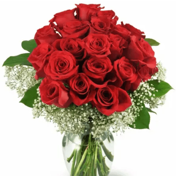 Two Dozen Red Roses