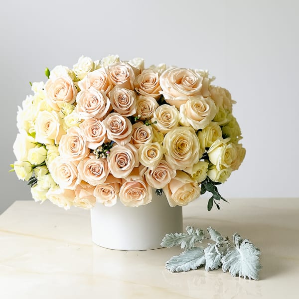 Bouquet of pale peach and cream roses in a white vase