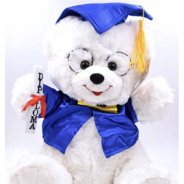 Plush teddy bear in a blue graduation cap and gown holding a diploma