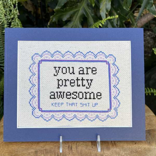 Framed cross-stitch card with a rude message on a blue backing