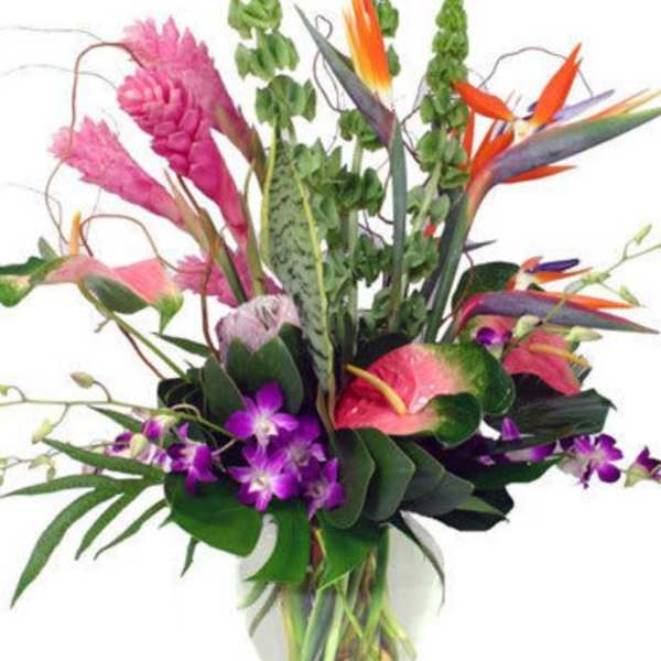 Tropical Paradise