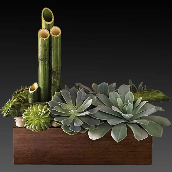 Succulent arrangement in a wooden box with bamboo stalks