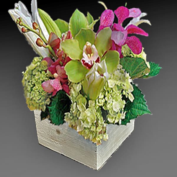 Mixed orchid arrangement in a white wooden box