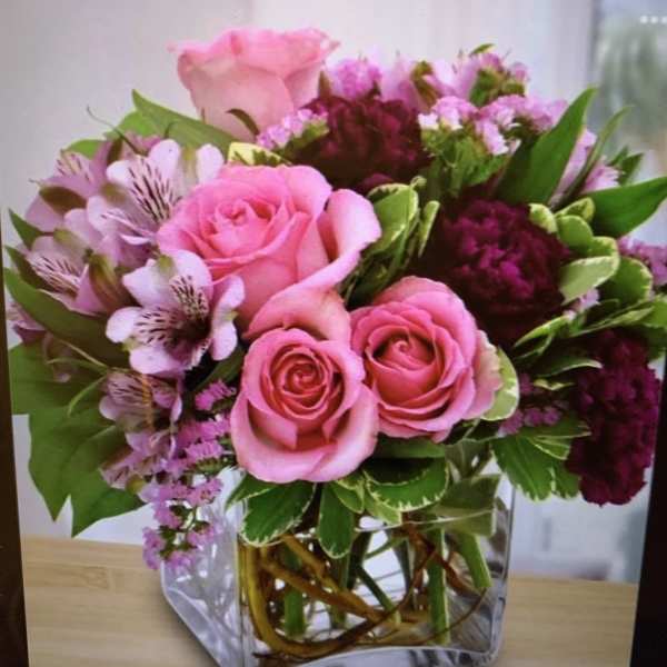 Sweet bloom