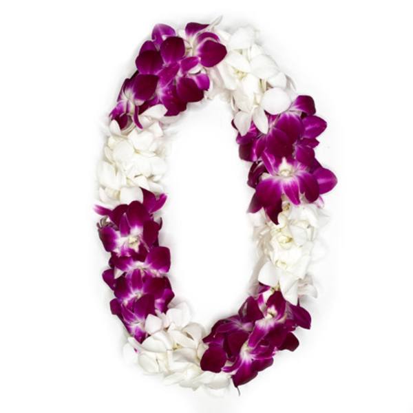 Purple and white orchid lei on a white background