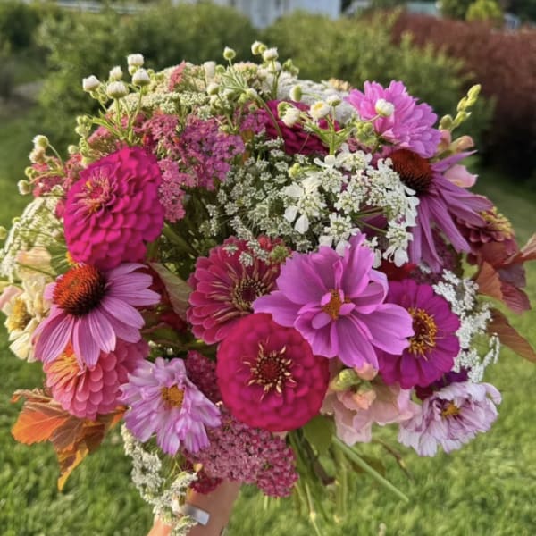 FROM THE GARDEN