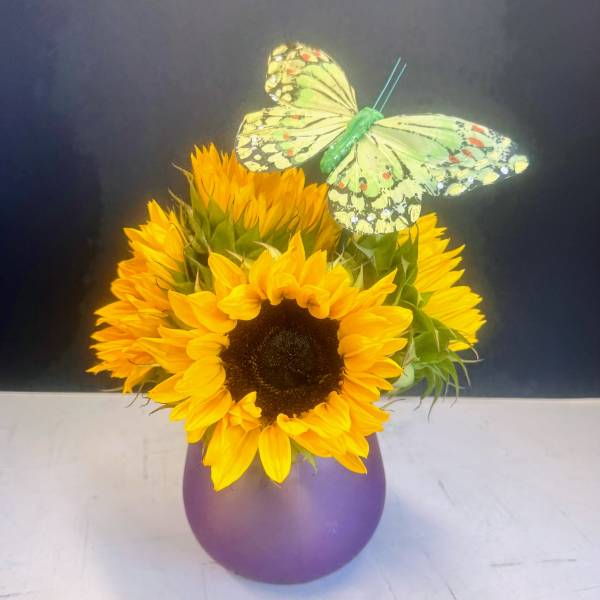 Sunflower Special
