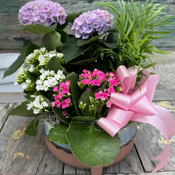Blooming Love Dish Garden