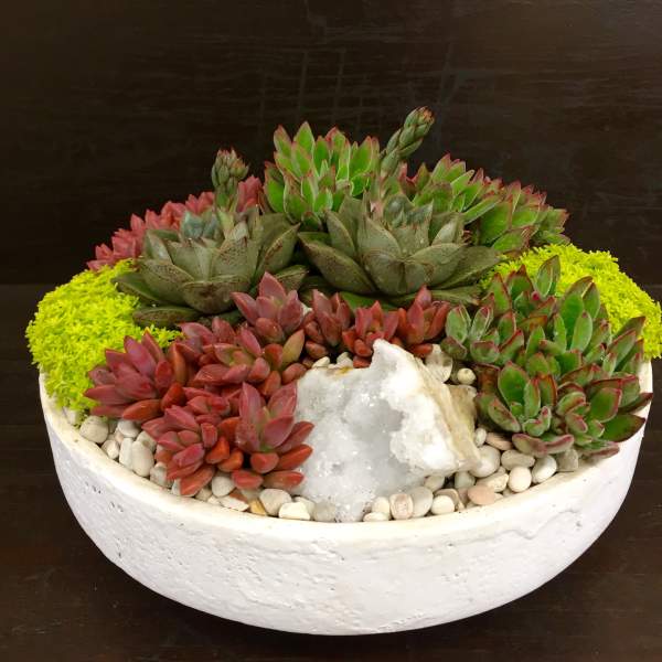 Succulent arrangement in a white bowl with pebbles and a crystal centerpiece