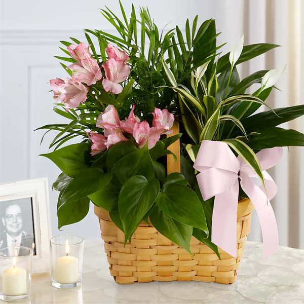 Pink flowers in a woven basket with a pink ribbon