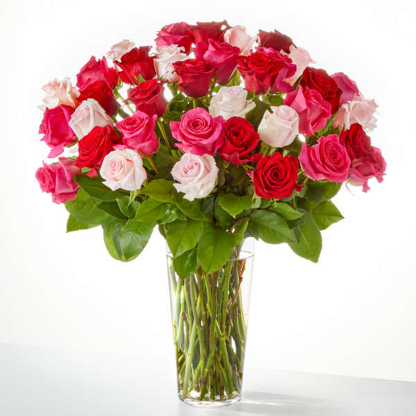 Bouquet of pink, red, and white roses in a clear glass vase