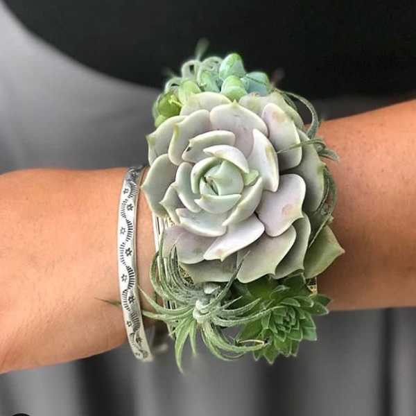 Succulent wrist corsage with pale green rosettes and a ribbon band