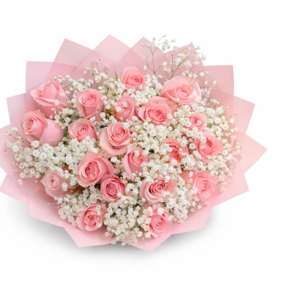 Classic Pink Roses