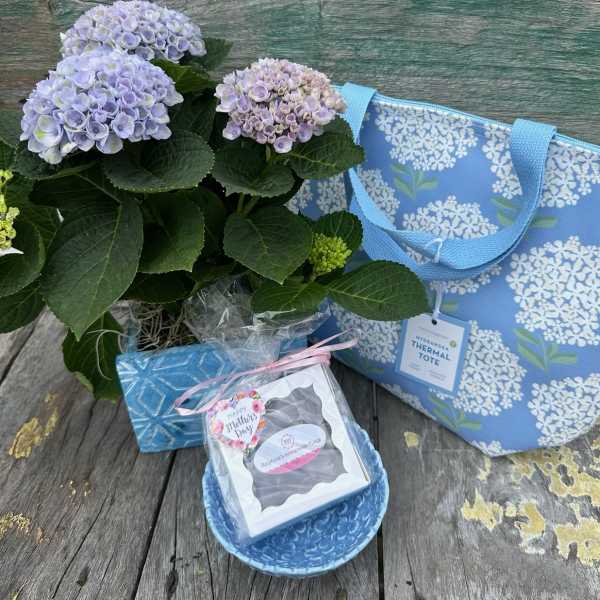 Potted hydrangea plant with a blue tote and small gift items