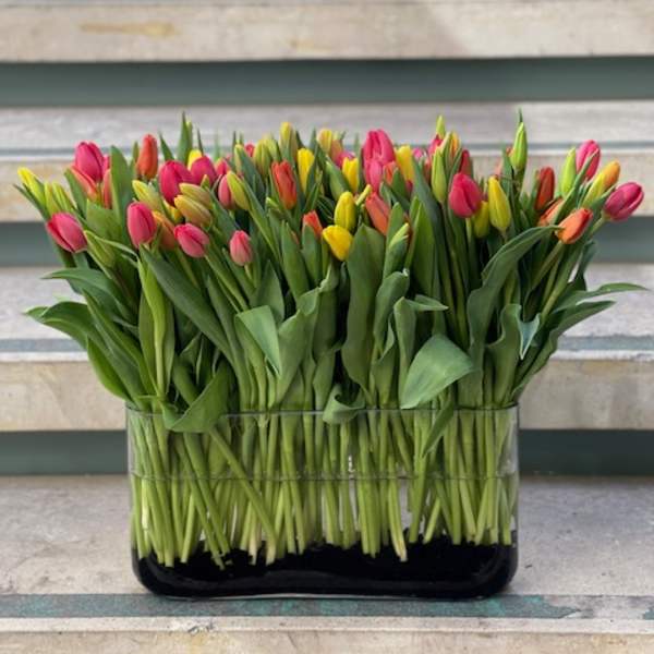 Mixed tulips in a rectangular glass vase