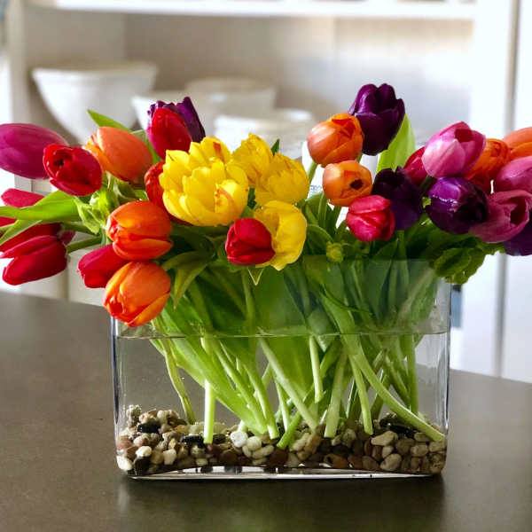 Miley - FB