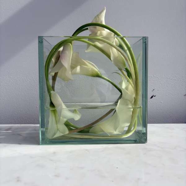 Polar Day