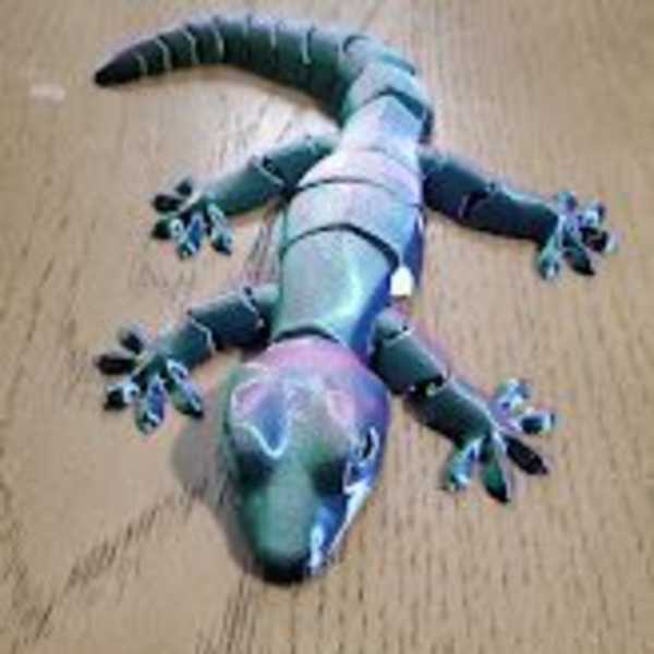 Playfull lizard