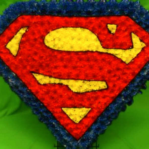 Superman logo made from flowers on a green background