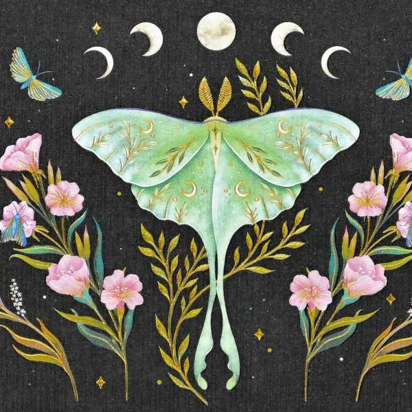 Decorative moth illustration with pink flowers on a dark background