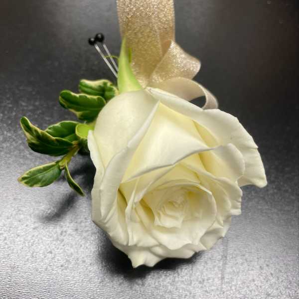 White rose boutonniere with green leaves and a gold ribbon