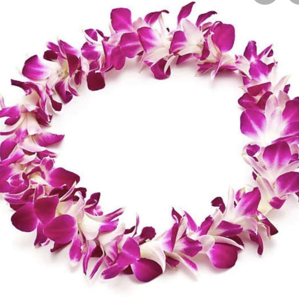 Double Purple Orchid Lei