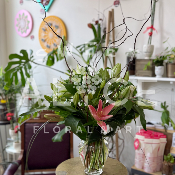 Lily Love