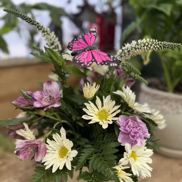 Spring Beauty