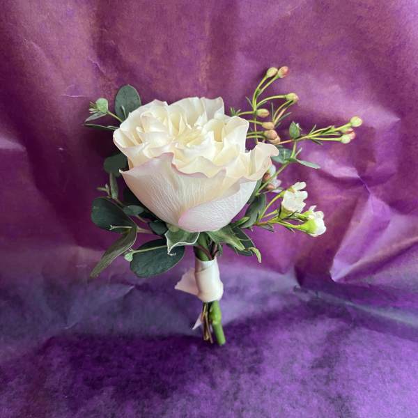 Cream rose boutonniere with small white buds and ribbon on a purple background