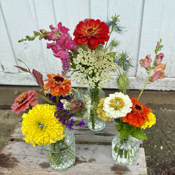 Three small flower arrangements in clear glass vases with bright mixed blooms