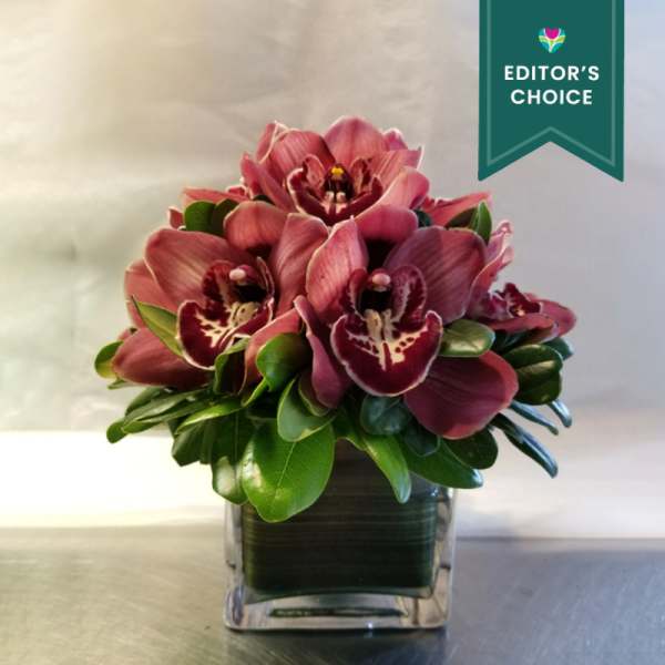 Pink orchids arranged in a clear square vase with glossy green leaves