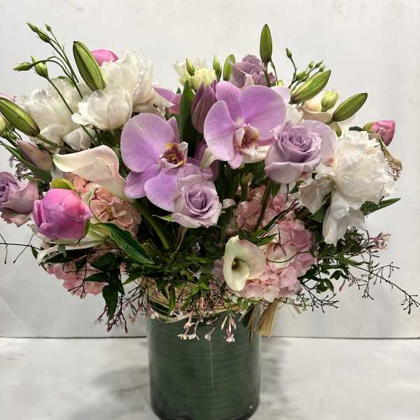 JULES ELIE