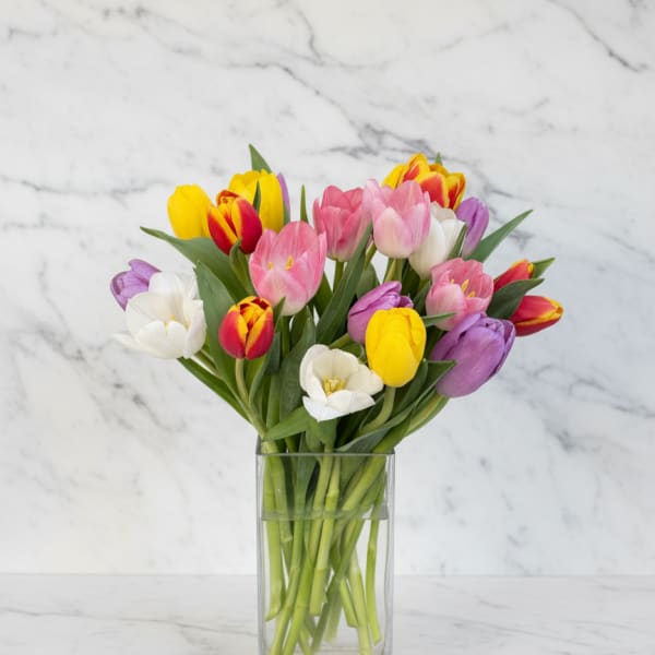Mixed tulips in pink, yellow, white, red, and purple in a clear glass vase