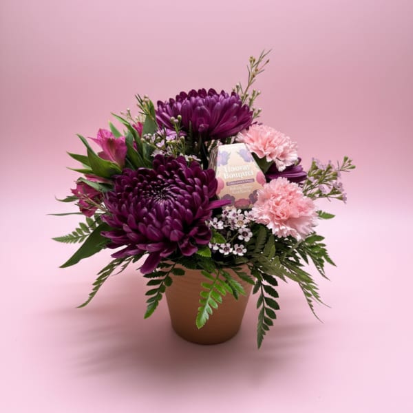 Grow with Love
