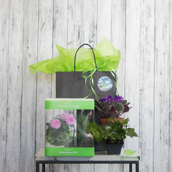 Gift bag with potted plants and a kokedama kit box