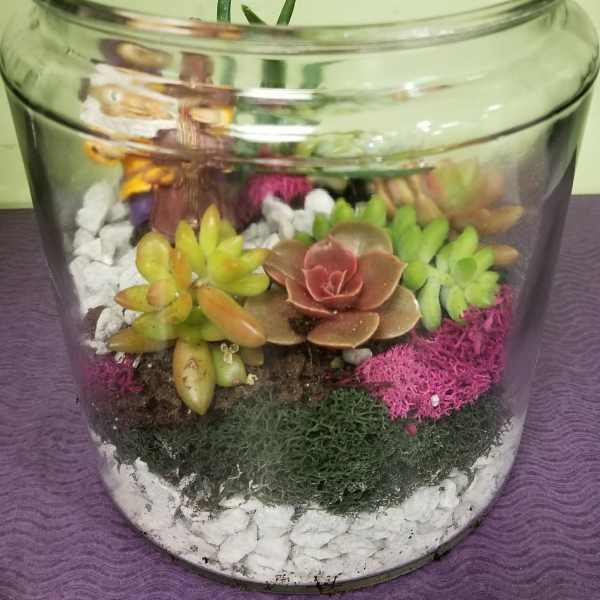 Glass bowl terrarium with colorful succulents and white stones