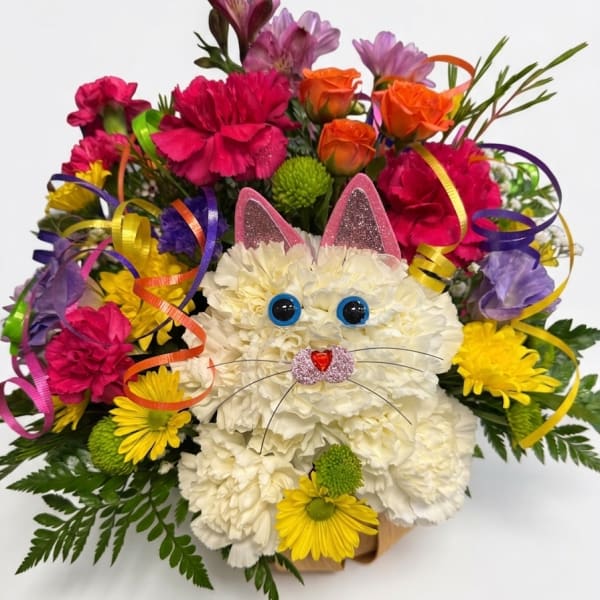 Snowball The Cat
