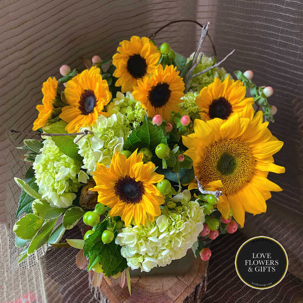 Arrangement of yellow sunflowers and pale green hydrangeas in a low vase on a wood slice