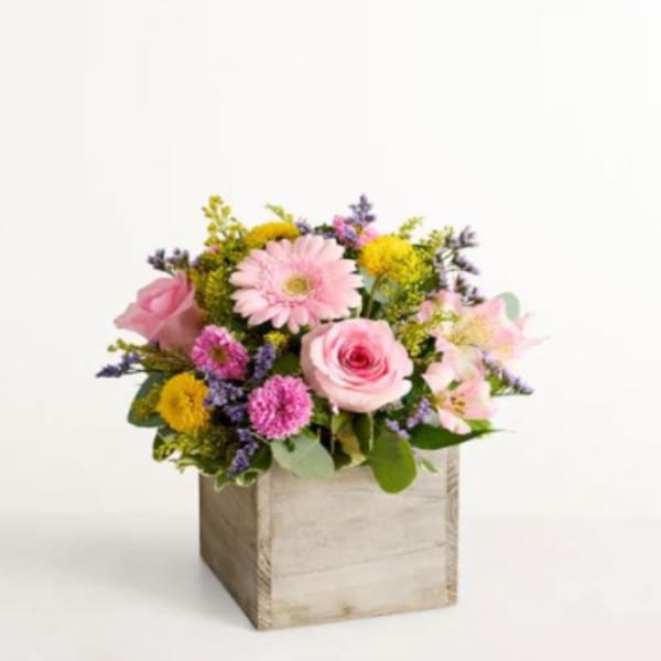 Spring Sentiment