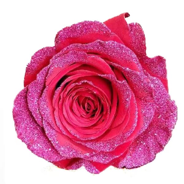 Single pink glitter-covered rose on a white background