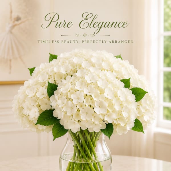 White Hydrangeas