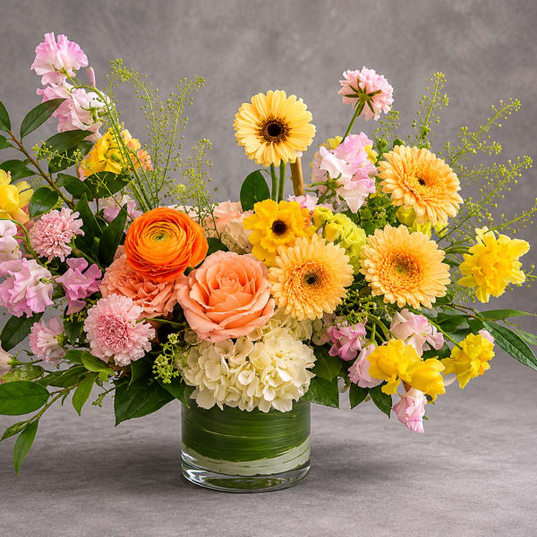 Spring Melody