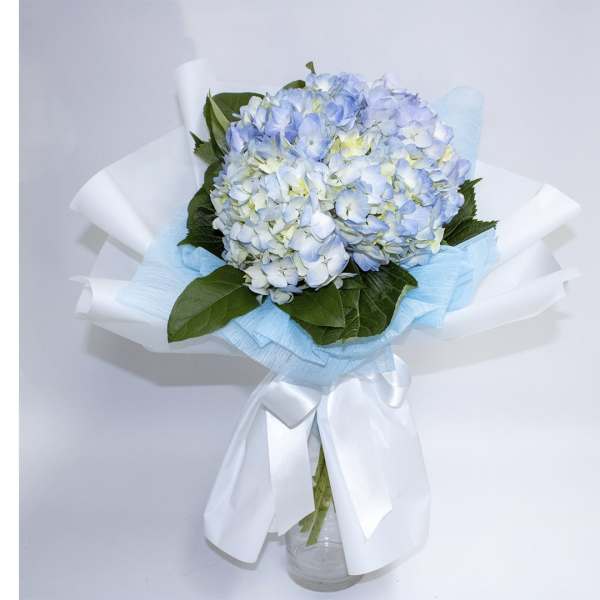 Blue and white hydrangea bouquet wrapped in white paper with a ribbon